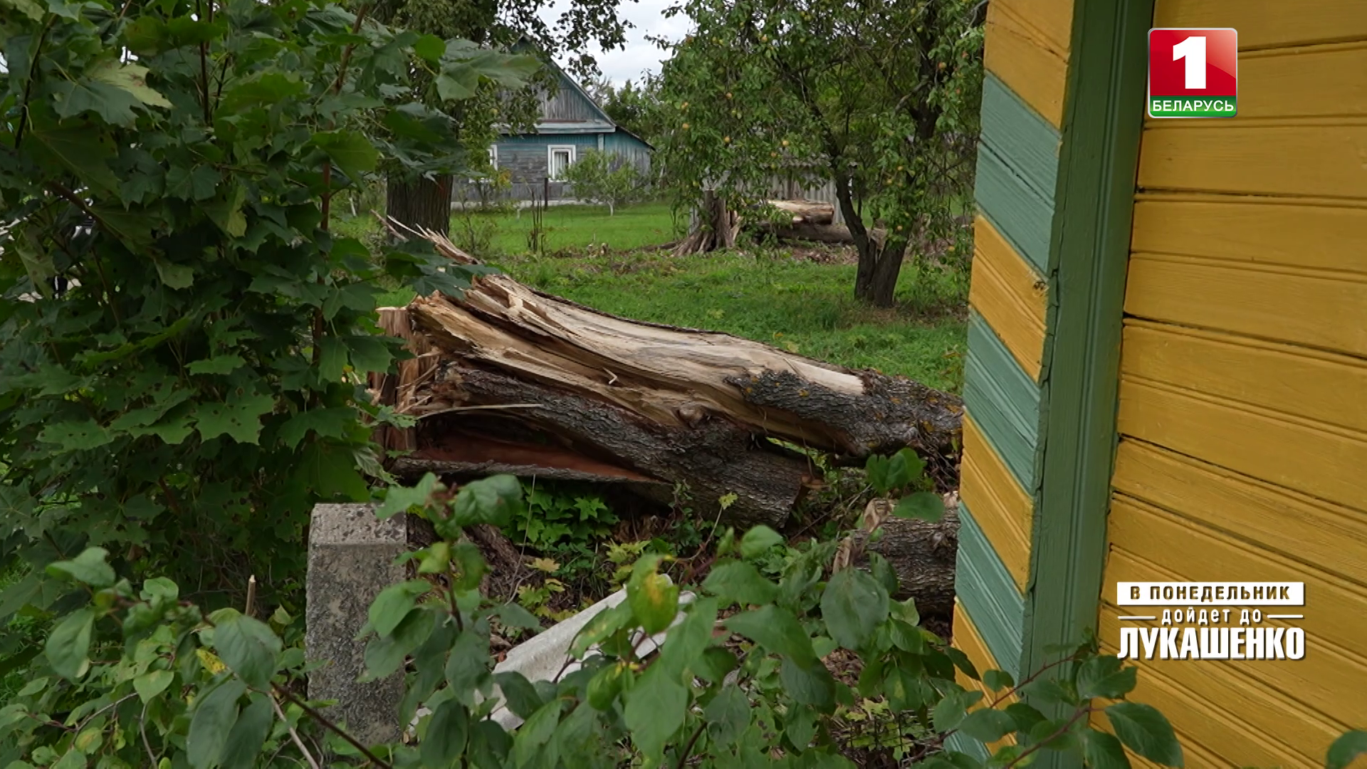 Дом на природе или головная боль? Как ураган обернулся для жительницы деревни борьбой с сельсоветом