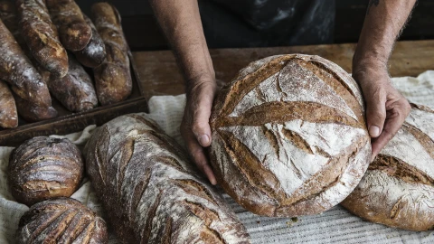 "Дожинки-2024": праздник хлеборобов | Опасное рандеву | Спортивный папа "Дожинки-2024": праздник хлеборобов | Опасное рандеву | Спортивный папа