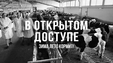 В открытом доступе | Зима лето кормит! В открытом доступе | Зима лето кормит!
