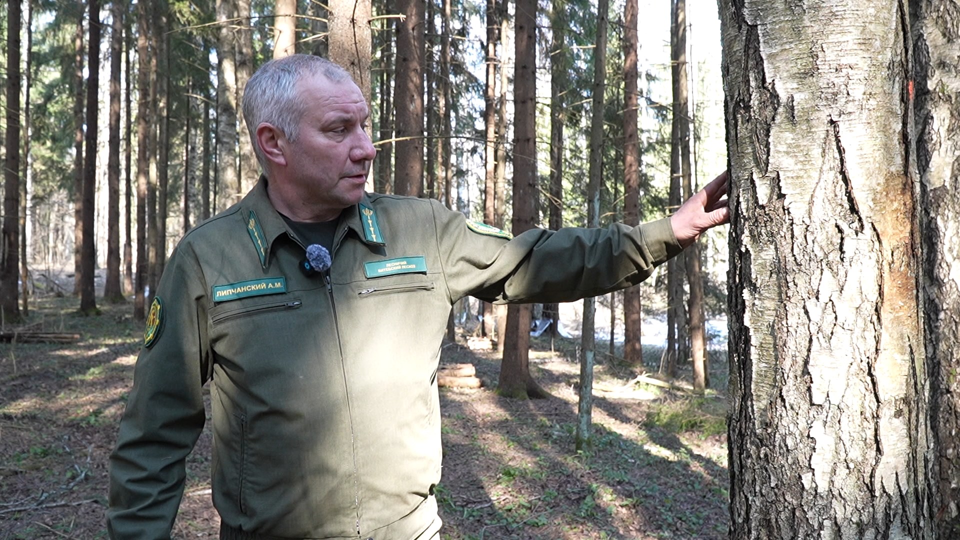 Алексей Липчанский Алексей Липчанский