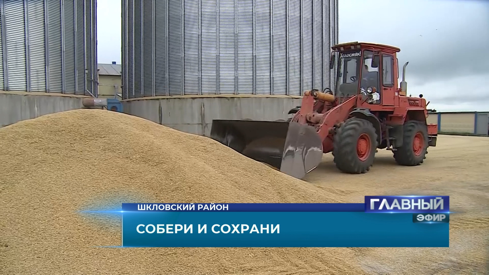 Зерносушильный комплекс в Шкловском районе