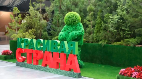 Сфера интересов | Все с приставкой ЭКО: технологии, питание, туризм и образование Сфера интересов | Все с приставкой ЭКО: технологии, питание, туризм и образование