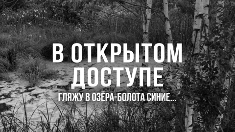 В открытом доступе | Гляжу в озера-болота синие В открытом доступе | Гляжу в озера-болота синие