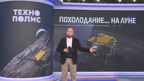 Технополис | Комары страдают от жары | Не все сервисы одинаково полезны Технополис | Комары страдают от жары | Не все сервисы одинаково полезны