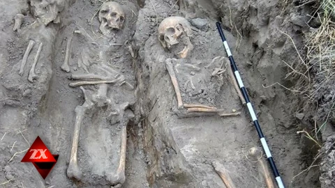 ЗХ | В Могилеве найдены пять новых мест массовых захоронений жертв ВОВ ЗХ | В Могилеве найдены пять новых мест массовых захоронений жертв ВОВ