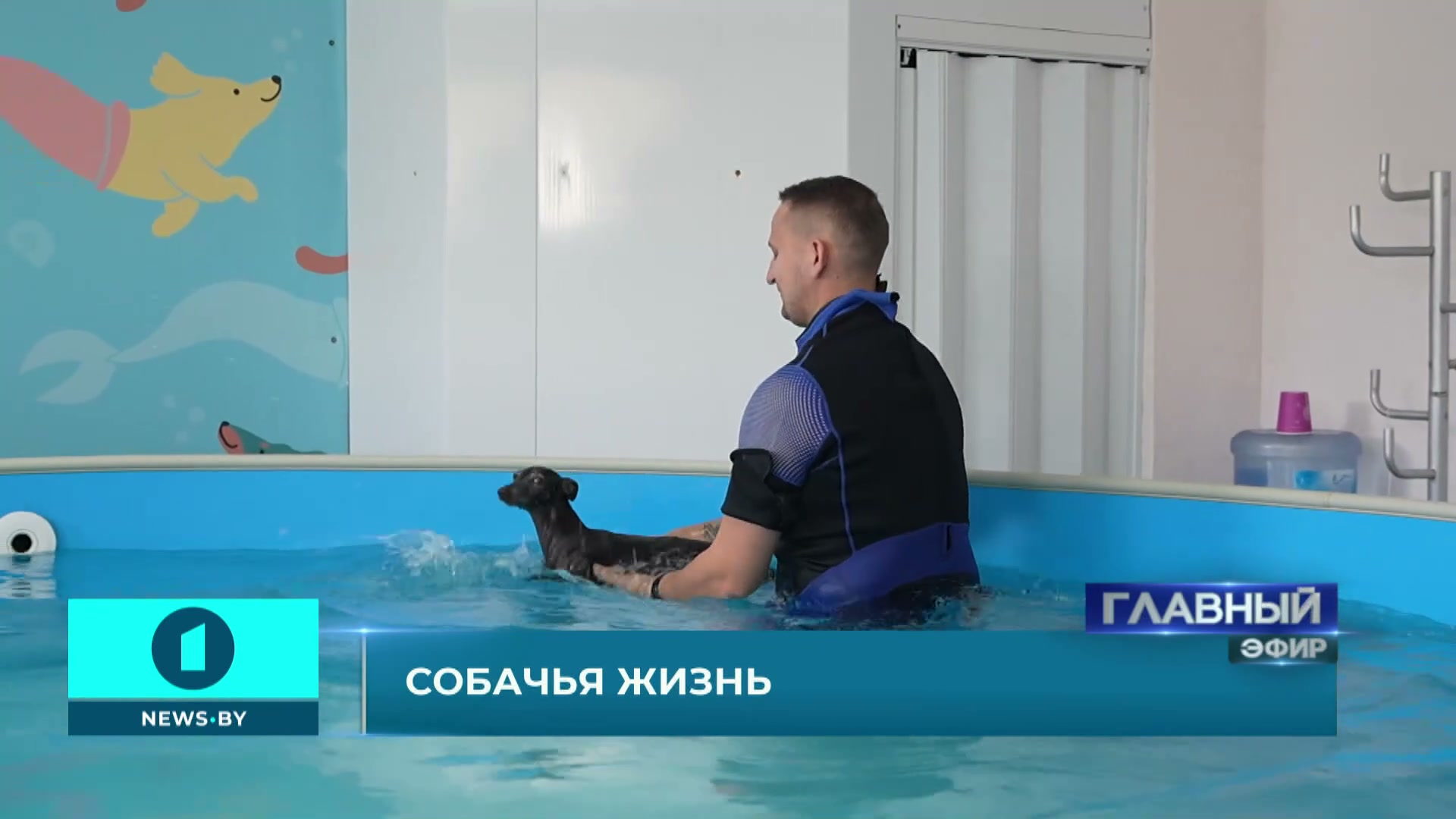Павел Валендо проводит тренировку собак в бассейне Собака плавает в бассейне