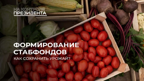 На контроле Президента | Овощей хватит на всех. Как сохраняем урожай в стабфондах? На контроле Президента | Овощей хватит на всех. Как сохраняем урожай в стабфондах?