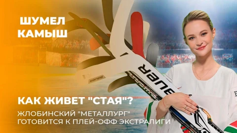 Шумел Камыш | Жлобинский "Металлург" готовится к плей-офф Экстралиги Шумел Камыш | Жлобинский "Металлург" готовится к плей-офф Экстралиги