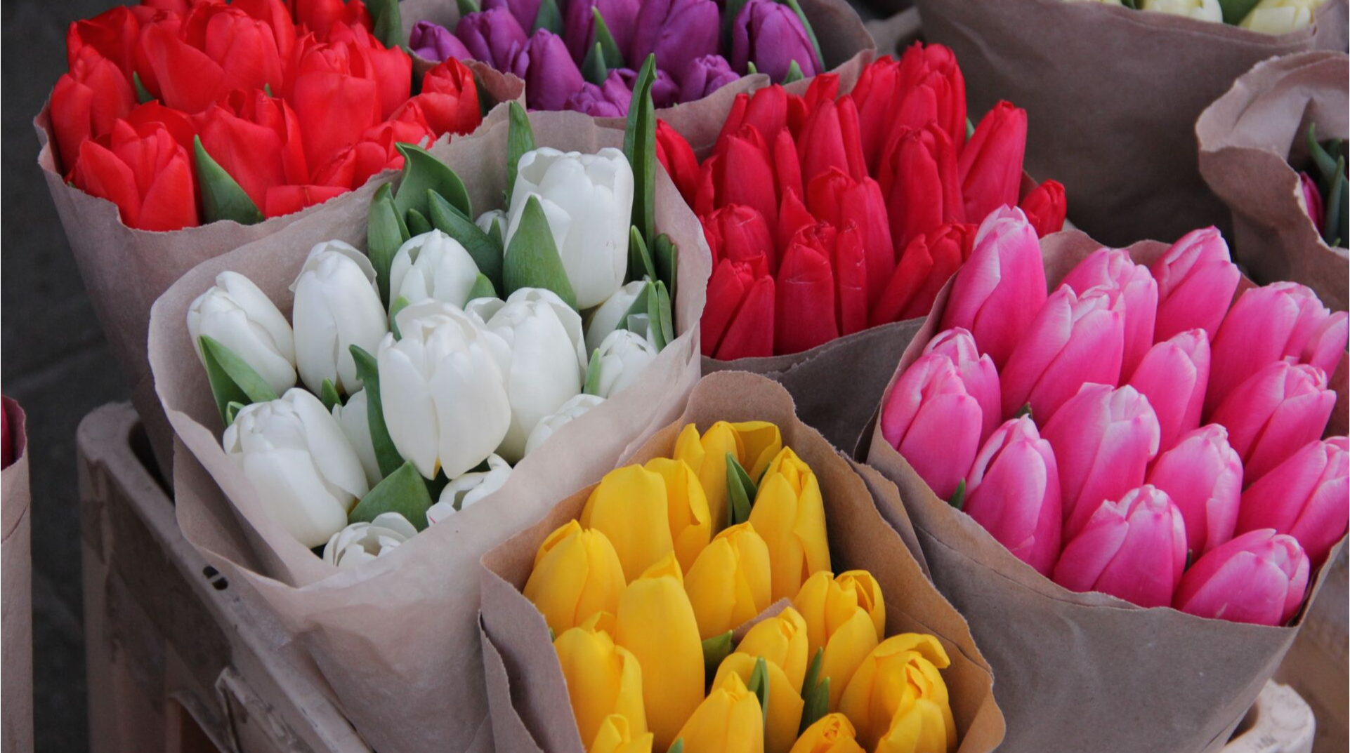 Мингорисполком определил места для легальной продажи цветов к 8 Марта в Минске