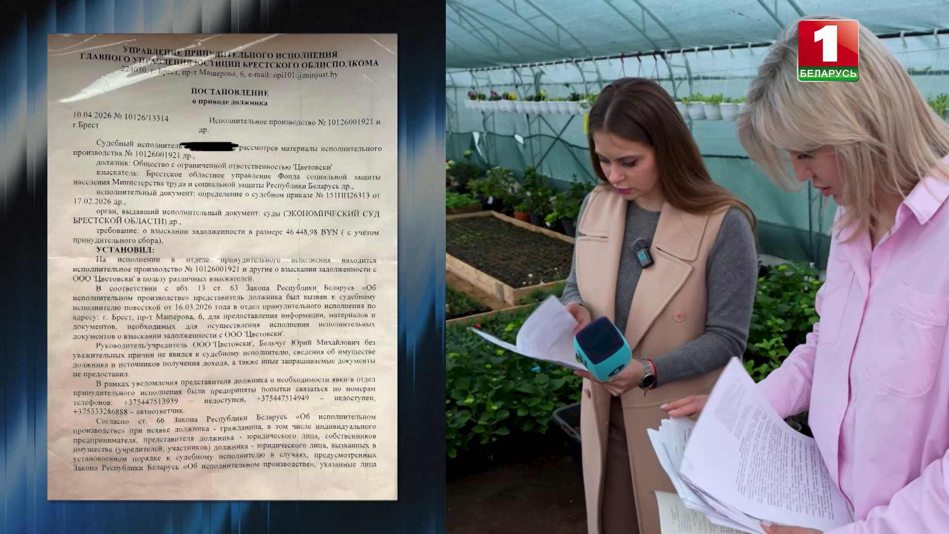 Денег нет, цветов тоже - как предприниматели остались без тюльпанов к 8 Марта и кто в этом виноват Денег нет, цветов тоже - как предприниматели остались без тюльпанов к 8 Марта и кто в этом виноват