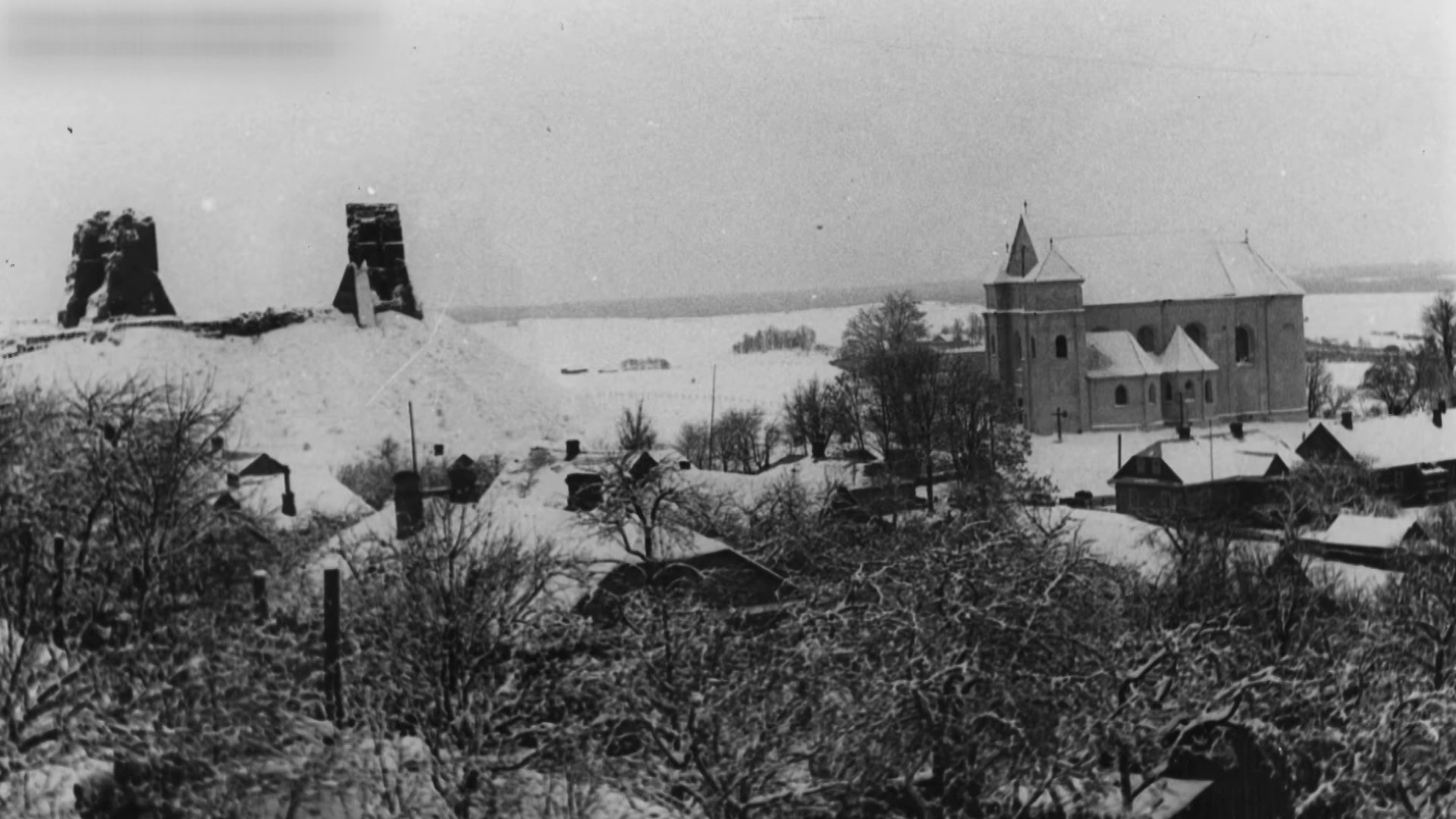 Несвижский район