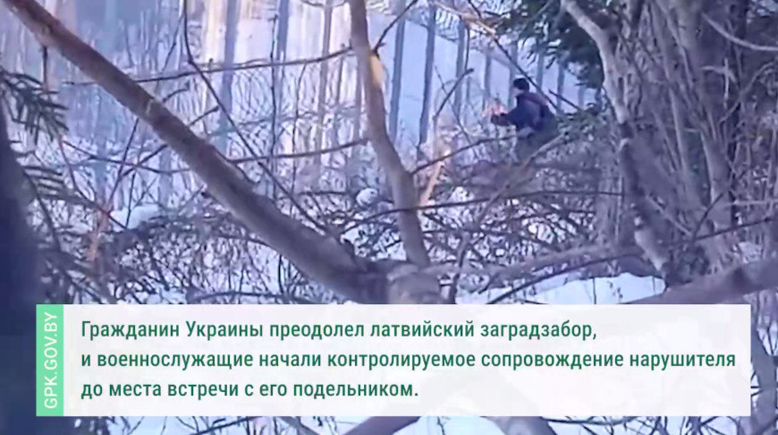Выява