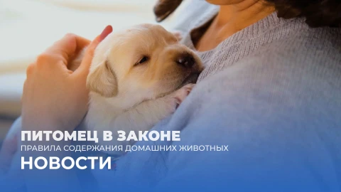 Новости 15:00 Новости 15:00