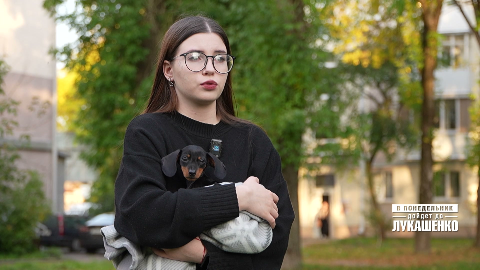 Карликовая такса по кличке Миша из Threads карликовая такса Миша из Threads, ветеринарная клиника в Минске, частная ветклиника в минске, круглосуточная ветклиника в минске