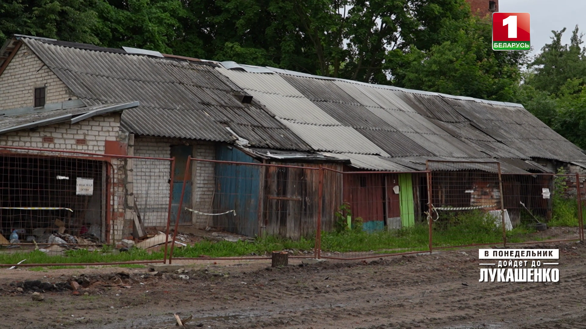 Огороды под Гродно и сараи в Минске - земля стала предметом споров жителей и местных властей