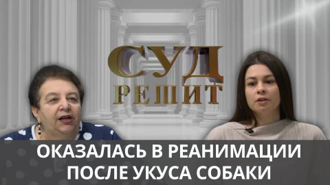 Суд решит | Собака маленькая - проблемы большие Суд решит | Собака маленькая - проблемы большие