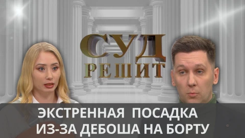 Суд решит | Маленькая чихуа-хуа устроила переполох на борту самолета Суд решит | Маленькая чихуа-хуа устроила переполох на борту самолета