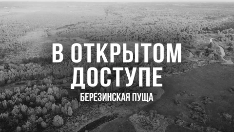 В открытом доступе | Березинская пуща В открытом доступе | Березинская пуща