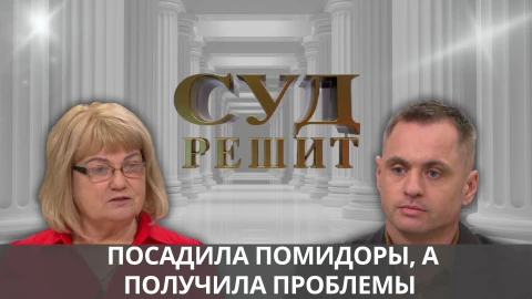 Суд решит | Почему посадка эксклюзивных томатов обернулась фиаско? Суд решит | Почему посадка эксклюзивных томатов обернулась фиаско?