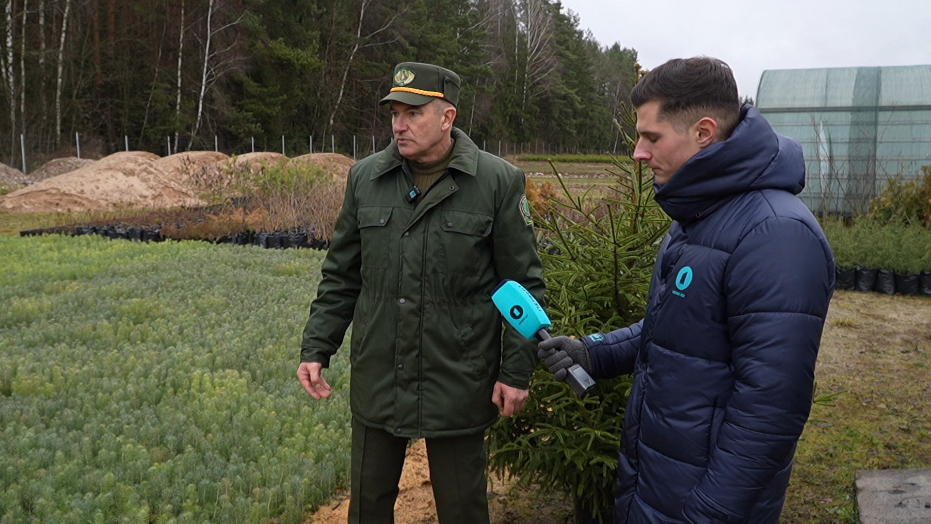 Виктор Капацевич, начальник образцового питомника Городокского лесничества Молодечненского лесхоза Виктор Капацевич, начальник образцового питомника Городокского лесничества Молодечненского лесхоза