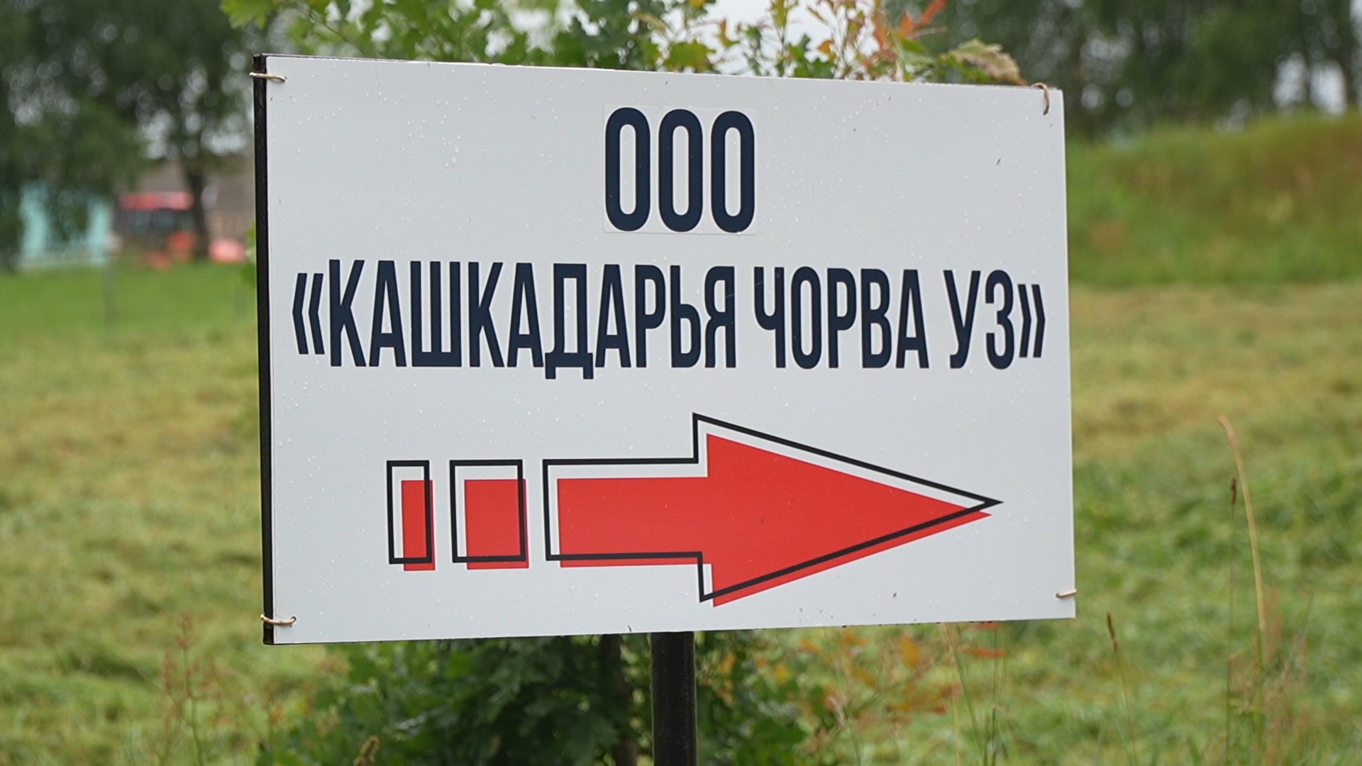 ООО "Кашкадарья чорва УЗ"