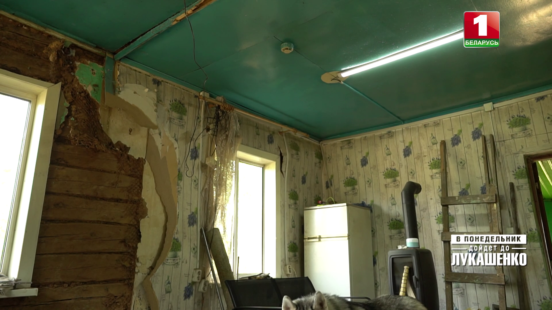 Дом на природе или головная боль? Как ураган обернулся для жительницы деревни борьбой с сельсоветом