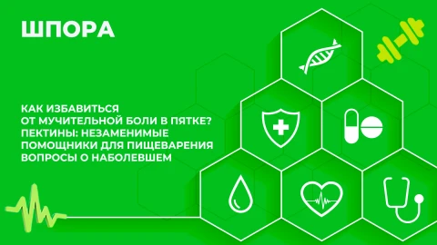 Здорово здоровым быть | 07.10.2025 Здорово здоровым быть | 07.10.2025