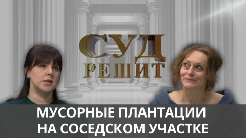 Суд решит | Мусорный инцидент Суд решит | Мусорный инцидент