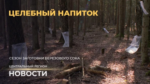 Новости. Центральный регион | Фундамент урожая | Весенний марафон | Целебный напиток Новости. Центральный регион | Фундамент урожая | Весенний марафон | Целебный напиток