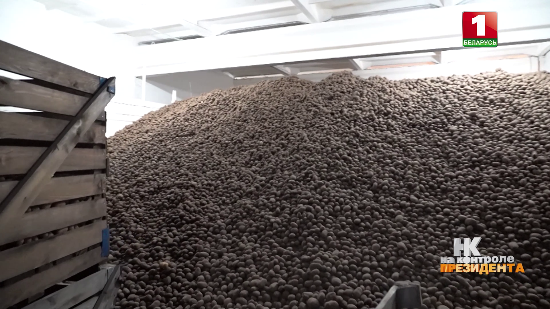 Беларусь, несмотря на сложный год, заполнила стабфонды и обеспечила продбезопасность