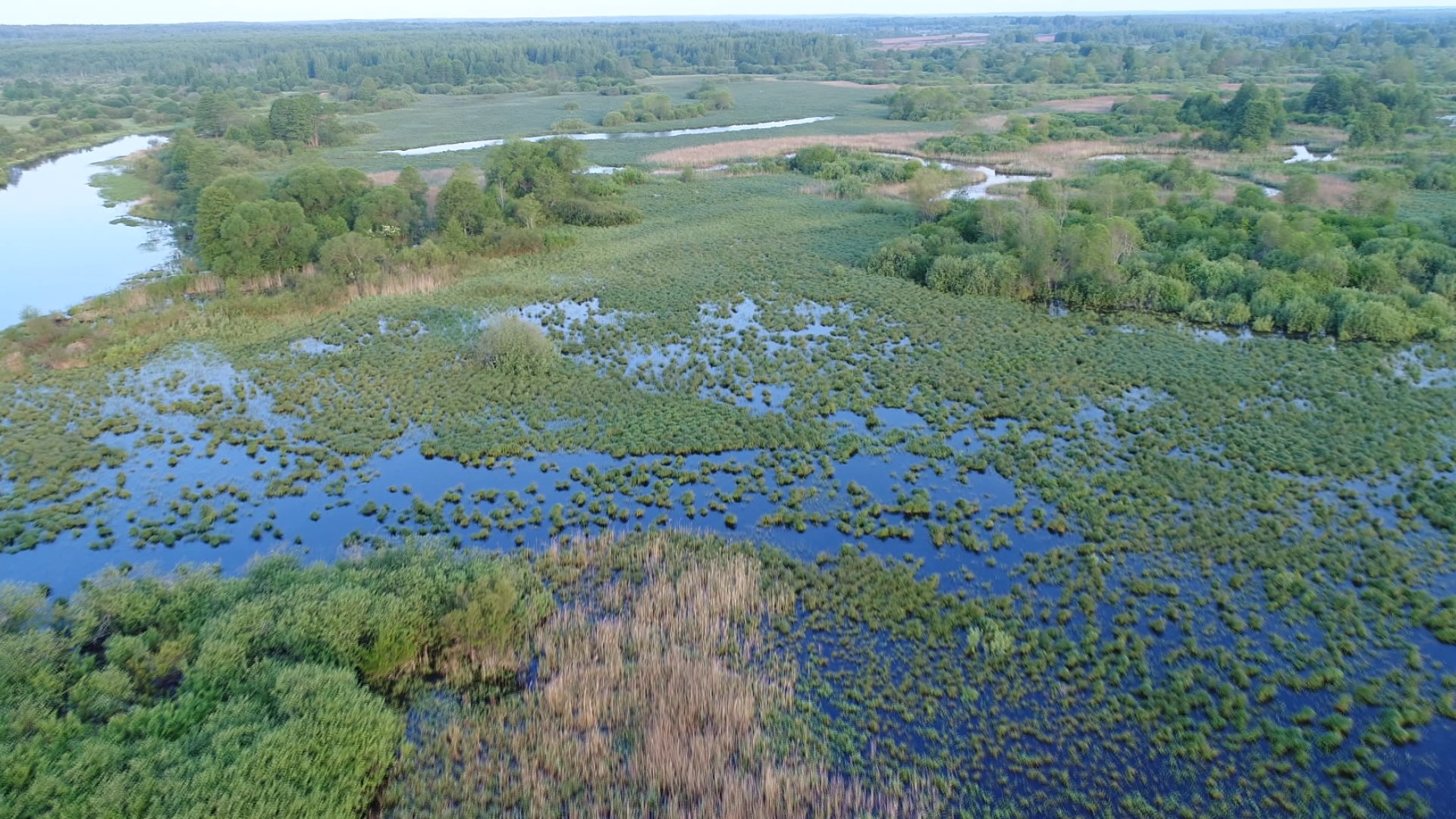 Березинский биосферный заповедник