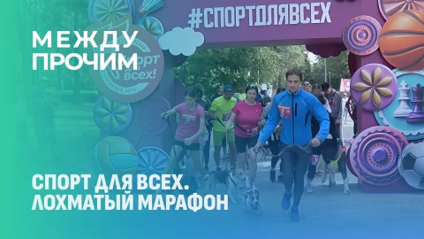 Между прочим | Спорт для всех. "Лохматый марафон" Между прочим | Спорт для всех. "Лохматый марафон"