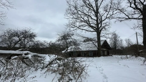 В Беларуси на продажу выставлена деревня "Веселуха"