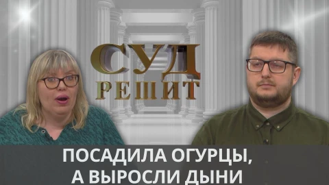 Суд решит | Должен ли продавец семян нести ответственность за овощи на грядке клиента? Суд решит | Должен ли продавец семян нести ответственность за овощи на грядке клиента?