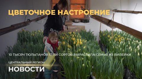 Новости. Центральный регион | Историческая память | Чистая вода | Цветочное настроение Новости. Центральный регион | Историческая память | Чистая вода | Цветочное настроение