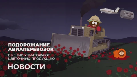 Новости 17:00 Новости 17:00