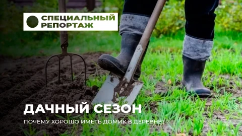 Специальный репортаж | Маленький огород - большое удовольствие. Как дача лечит душу и тело? Специальный репортаж | Маленький огород - большое удовольствие. Как дача лечит душу и тело?