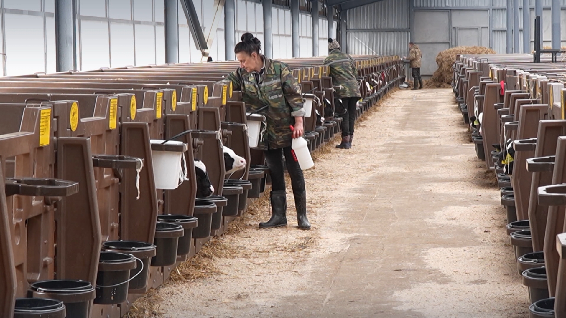 сельскохозяйственный комплекс