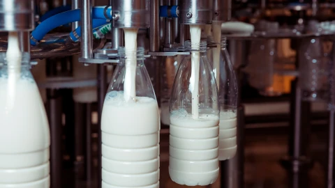 Новости экономики | В Беларуси разработана стратегия развития молочной отрасли на ближайшие 10 лет Новости экономики | В Беларуси разработана стратегия развития молочной отрасли на ближайшие 10 лет