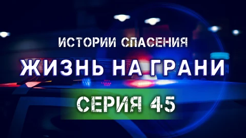 Истории спасения | 12.04.2025 Истории спасения | 12.04.2025
