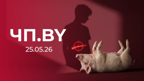 ЧП.by | Вместо кабана попал в сына - житель Костюковичского района из ружья ранил подростка ЧП.by | Вместо кабана попал в сына - житель Костюковичского района из ружья ранил подростка