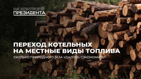 На контроле Президента| Щепа, торф и пеллеты: как экономим за счет перехода на местные виды топлива? На контроле Президента| Щепа, торф и пеллеты: как экономим за счет перехода на местные виды топлива?