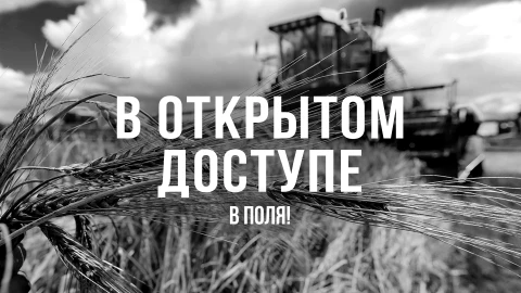 В открытом доступе | В поля! В открытом доступе | В поля!