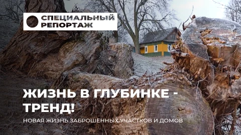 Специальный репортаж | Новая жизнь заброшенных участков и домов. Как белорусы возрождают деревни? Специальный репортаж | Новая жизнь заброшенных участков и домов. Как белорусы возрождают деревни?