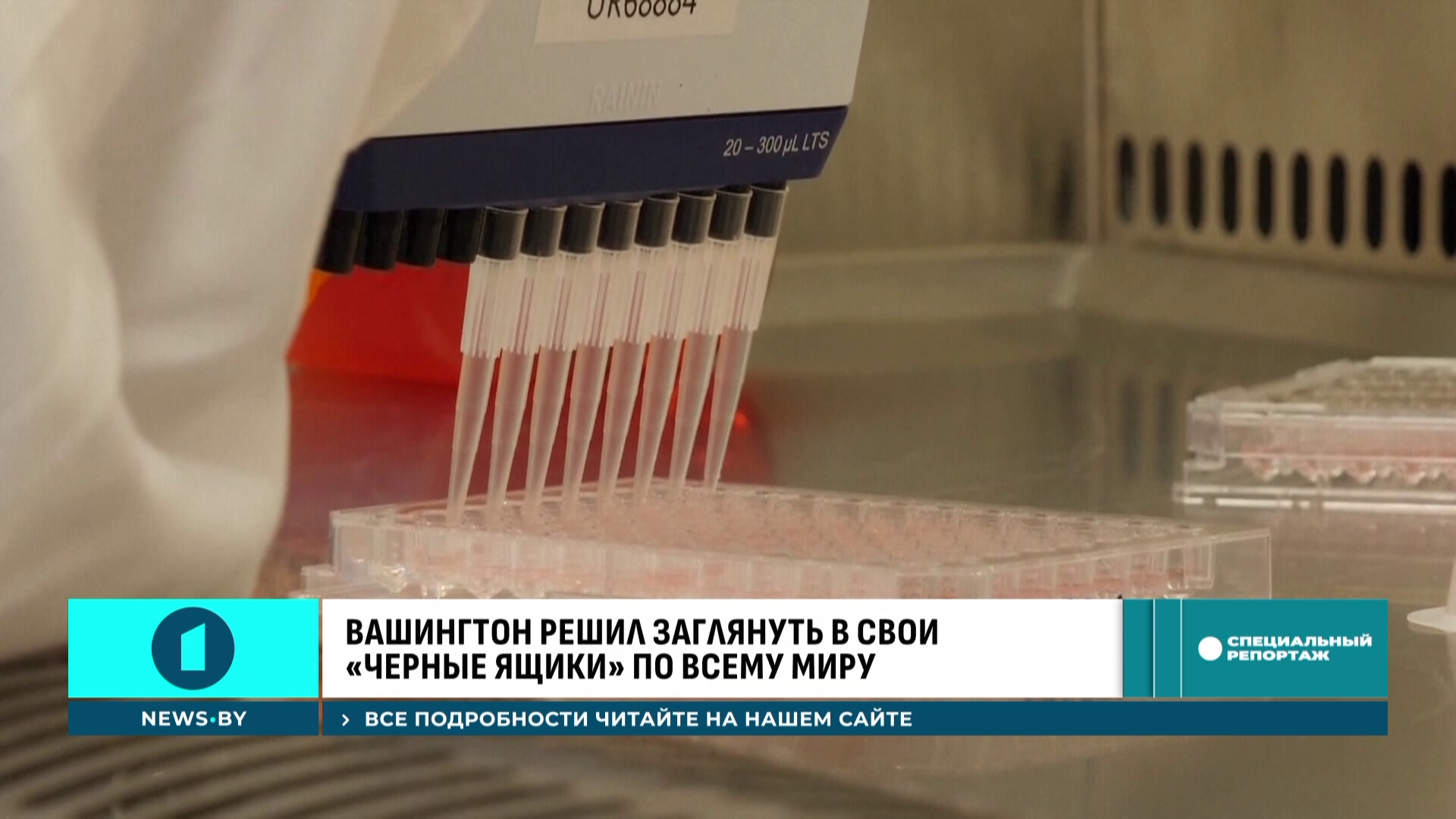 Угроза пандемии или безосновательная паника - что известно о хантавирусе