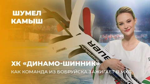 Шумел Камыш | ХК «Динамо-Шинник». Как команда из Бобруйска зажигает в КХЛ? Шумел Камыш | ХК «Динамо-Шинник». Как команда из Бобруйска зажигает в КХЛ?