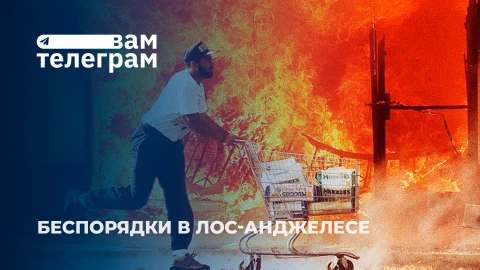 Вам телеграм | Животные и оплаченные мятежники: Трамп о протестующих | Банкротство в Литве Вам телеграм | Животные и оплаченные мятежники: Трамп о протестующих | Банкротство в Литве