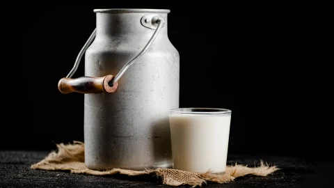 Сфера интересов | Как Беларусь наращивает производство и переработку молока Сфера интересов | Как Беларусь наращивает производство и переработку молока