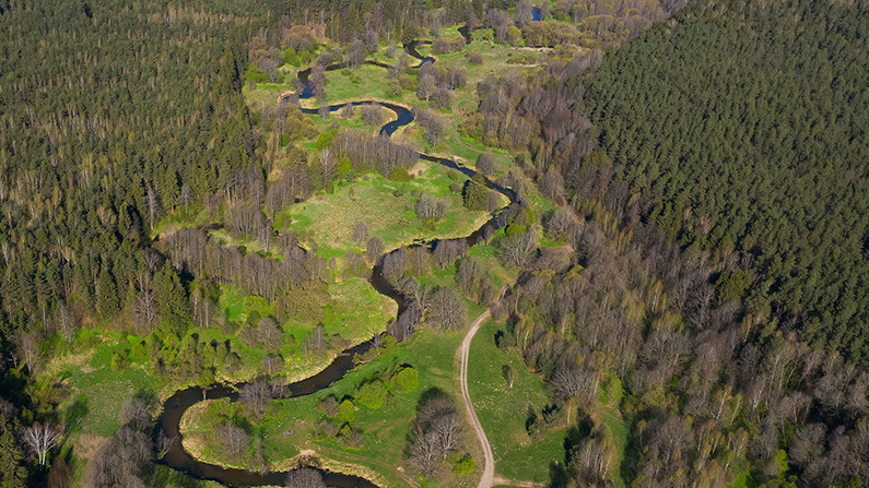 Припятское Полесье в Беларуси
