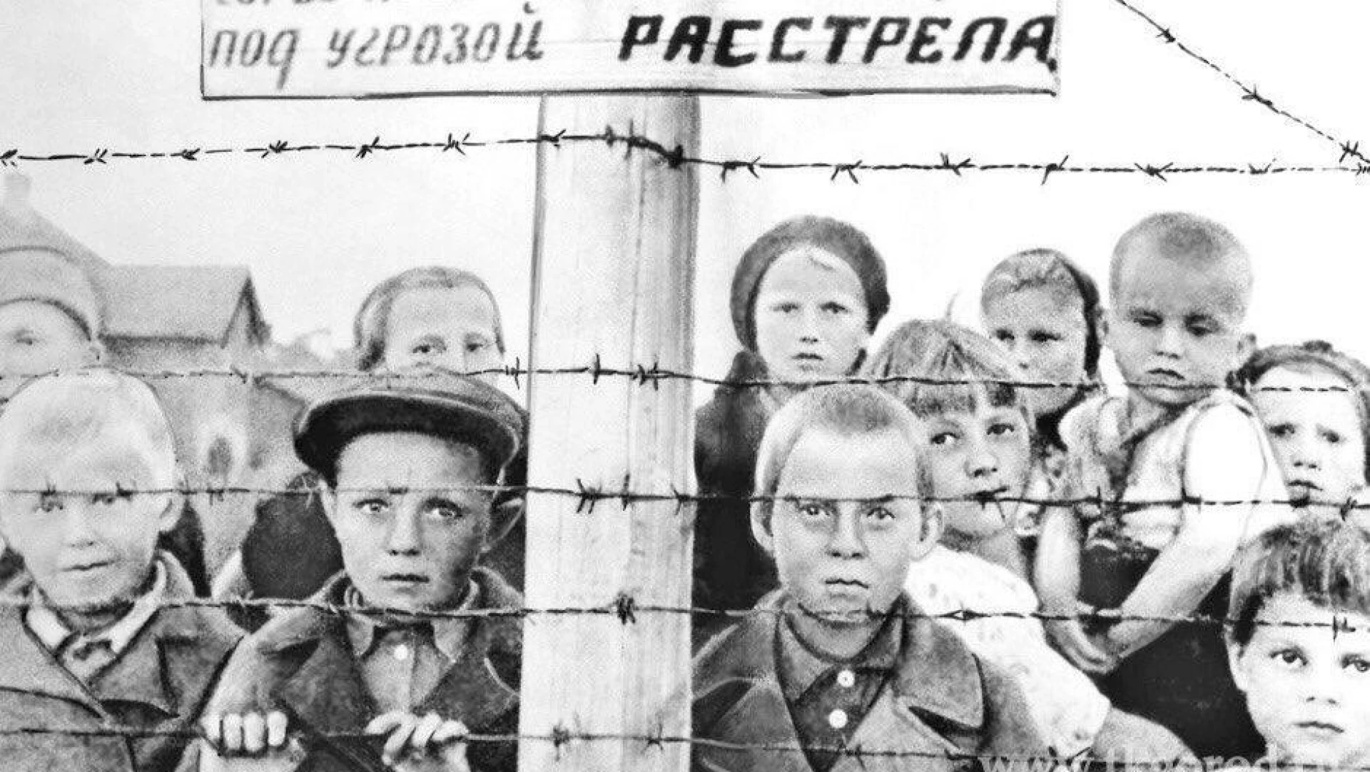 дети за колючей проволокой в концлагере